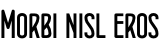 Morbi nisl eros